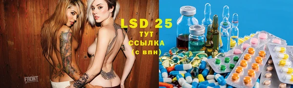 PSILOCYBIN Богородицк